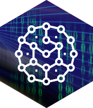 Network Monitoring & Management