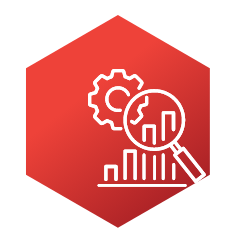 Network Consulting Analysis